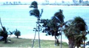 BAHA26(2)