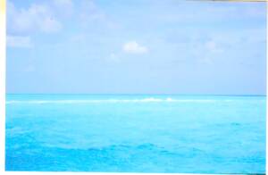 BAHAMA141(2)