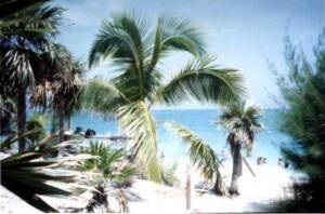 BAHAMA7(3)(1)
