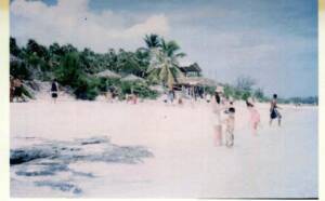 BAHAMA81(1)