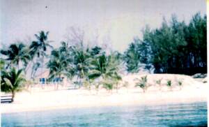 BAHAMA93(3)